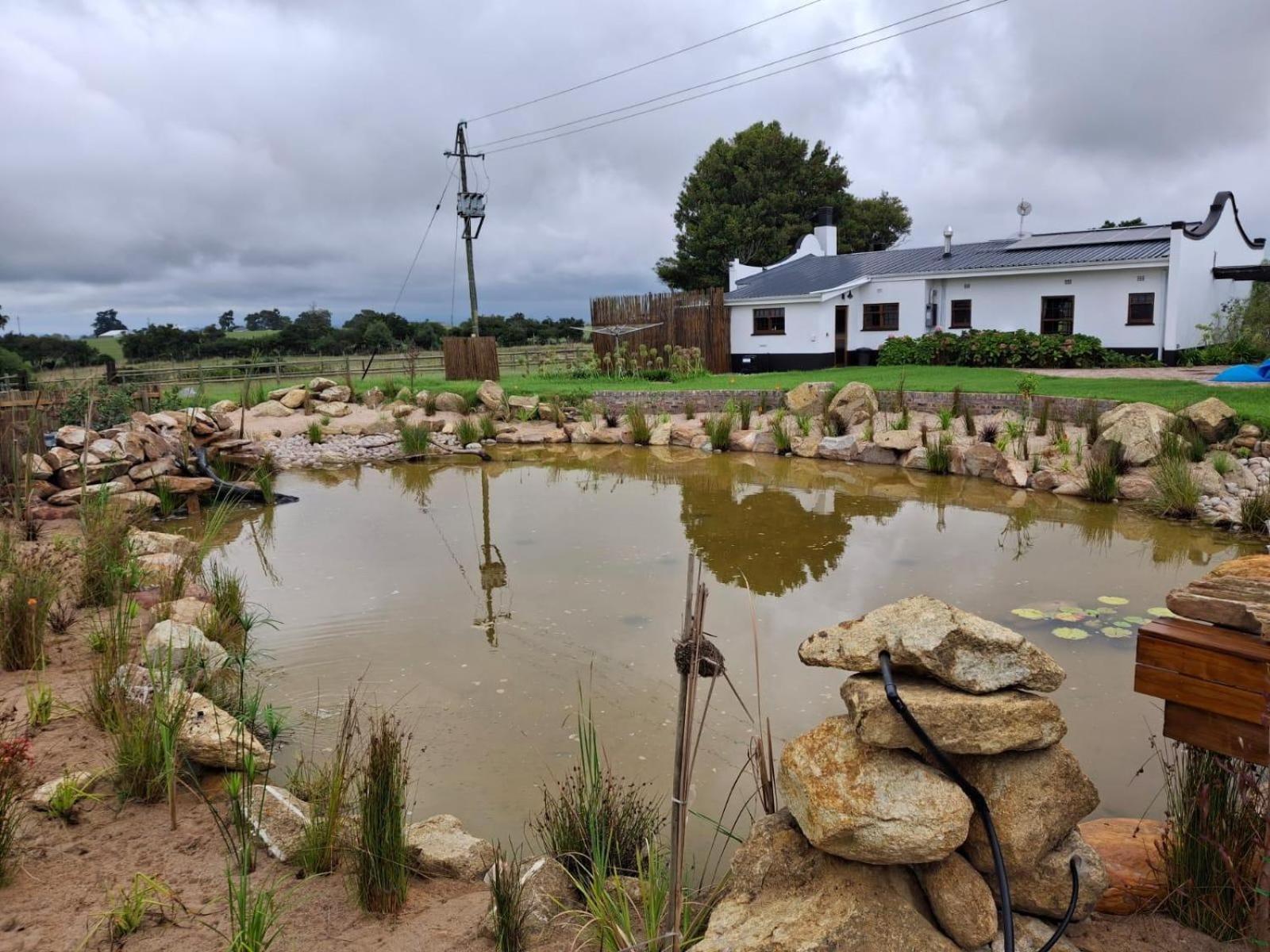 شقة Dunkes Organic Equestrian Estate جورج الغرفة الصورة